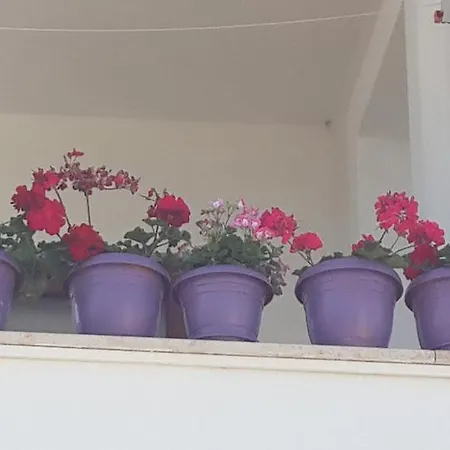 Apartament Cebeci Evleri *